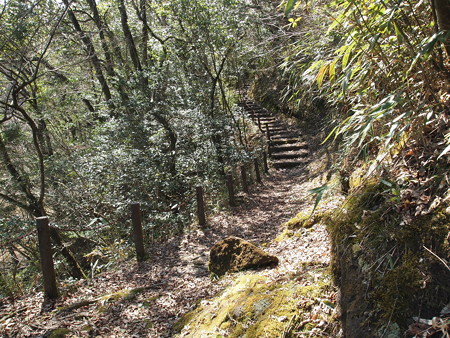P3120468