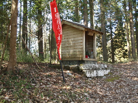 P3120477
