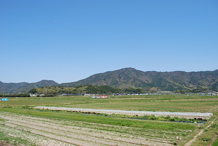 DSC_0451 DSC_0451
