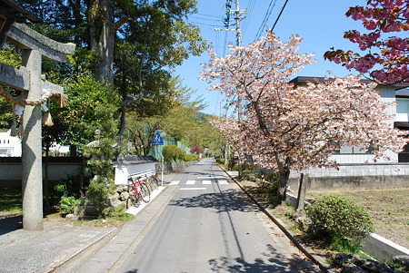 DSC_0453 DSC_0453