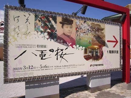 「八重の桜」展