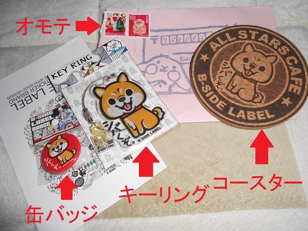 シバかんといて～～！！