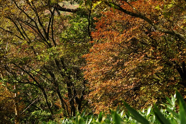 写真00549