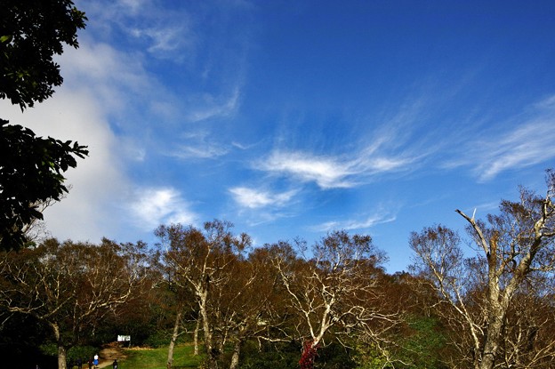 写真00585