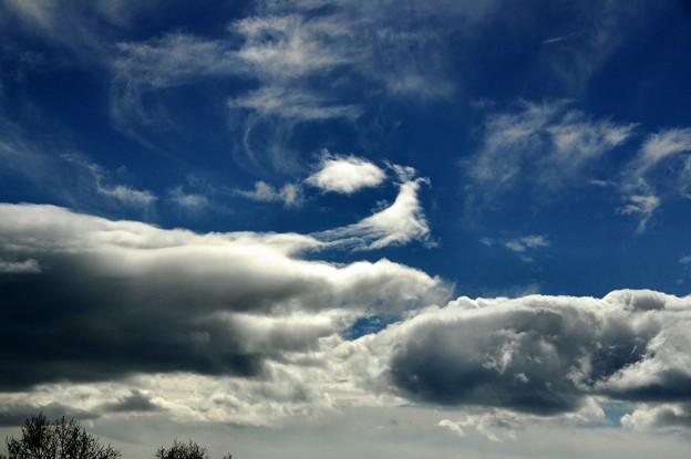 写真00605