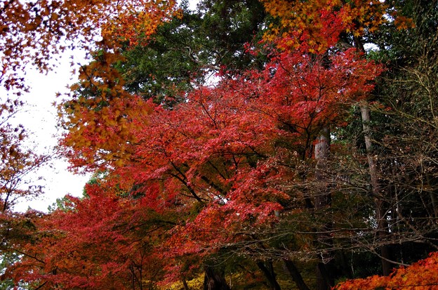 写真00939