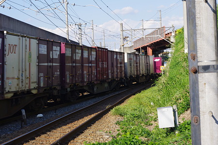 IMGP6250