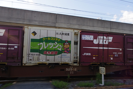 IMGP6261