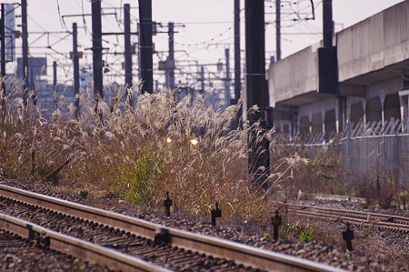 IMGP7863