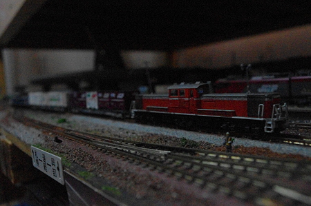 IMGP8424