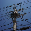 DSC02441