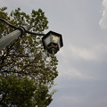 DSC02849