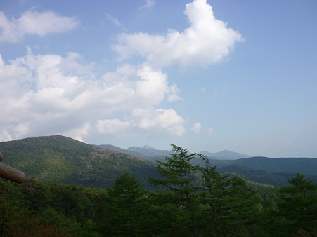 P1010972