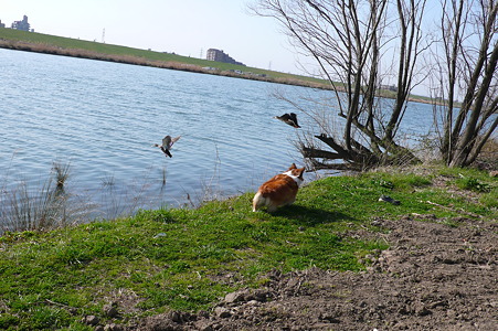 P1030090