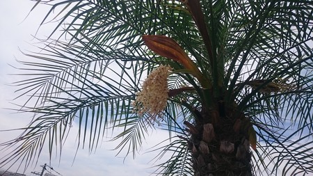6月