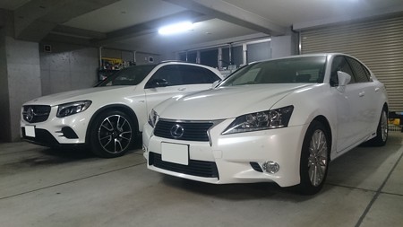 11月