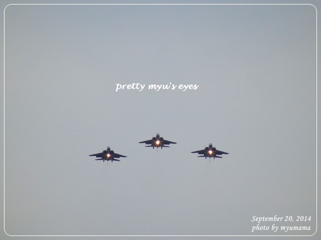写真: s-487