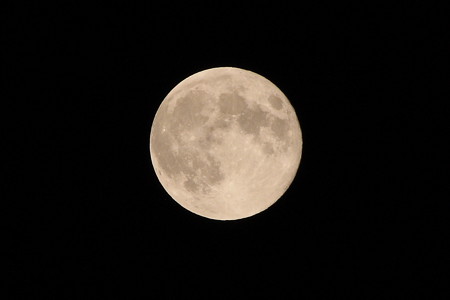 超十六夜の月 2014