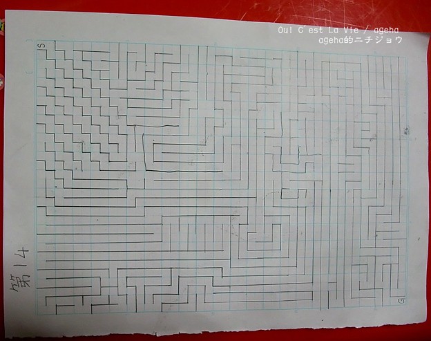 中1姪作迷路。