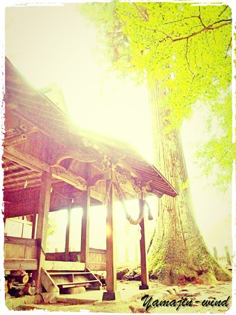 神社