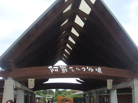 DSC05184