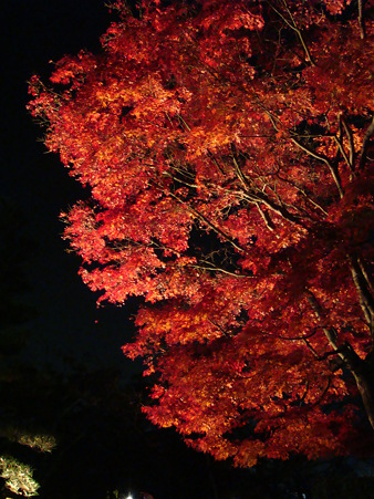 清水寺３