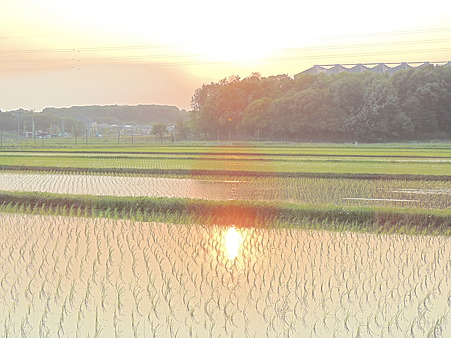 我が散歩道の夕景