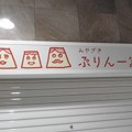 Photos: ぷりん一家