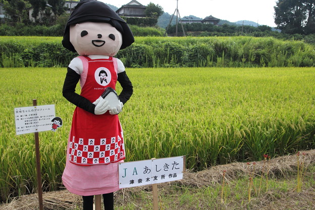津奈木町かかし祭り・・JAのまわしもの？