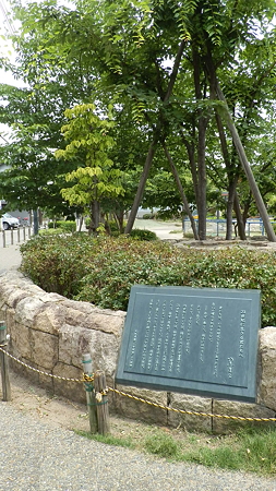 P6020478