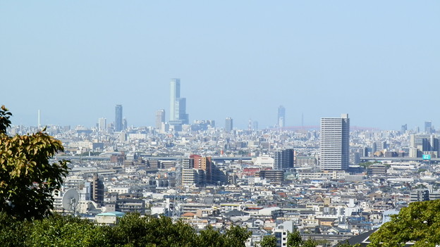 P9278317