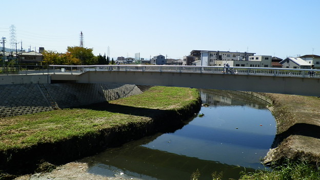 P9278355