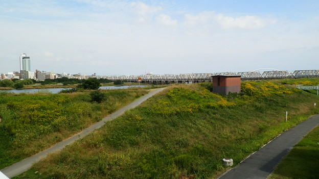 PA128461