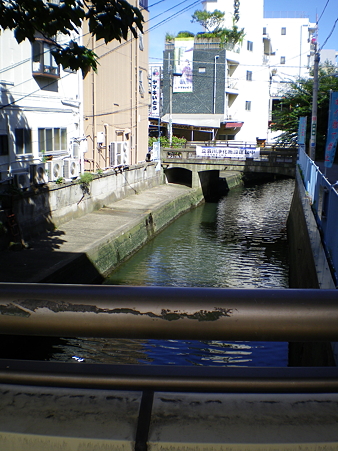IMGP1490