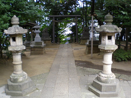 IMGP1904