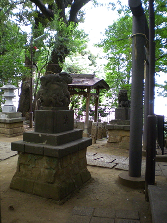 IMGP1906
