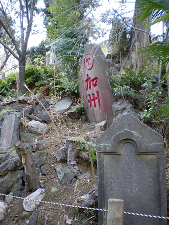 IMGP3977