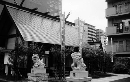 Image0165（Rollei 35T）
