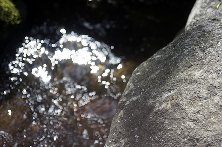 _DSC8975