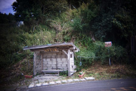 DSC09306