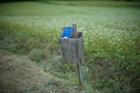 DSC09321
