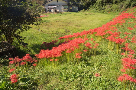 DSC03047_1