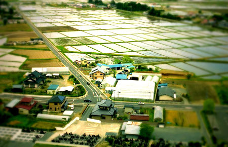 tiltshift（Nikomat EL）