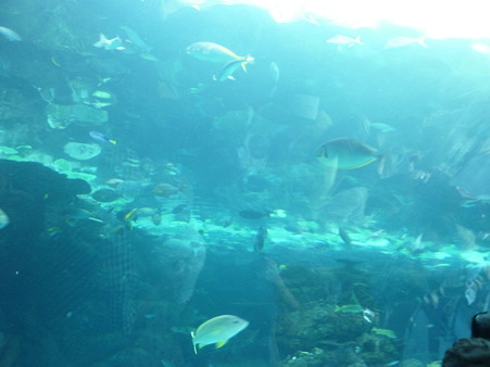 P1000857