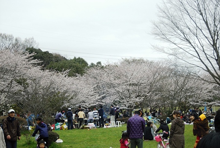 DSCN1365