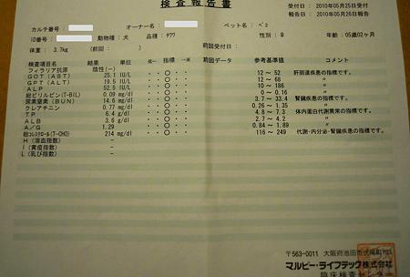 DSCN2947