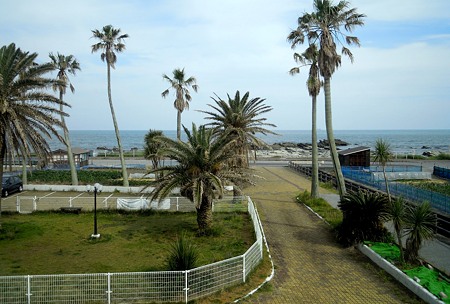 DSCN3037