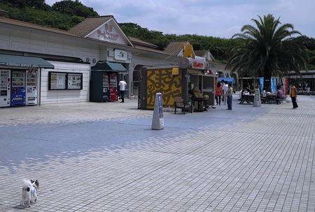 DSCN2995