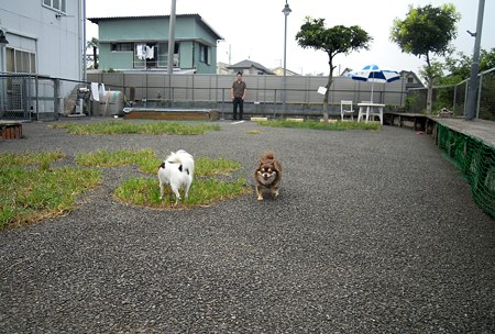 DSCN4069