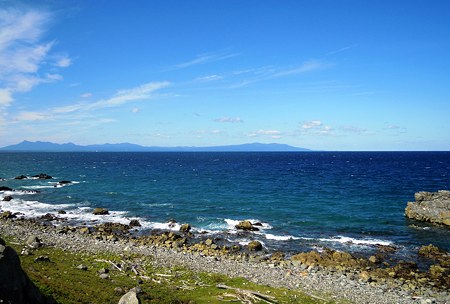 DSCN4414